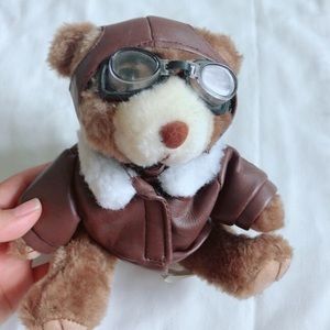 Stuffed animal, Teddy bear